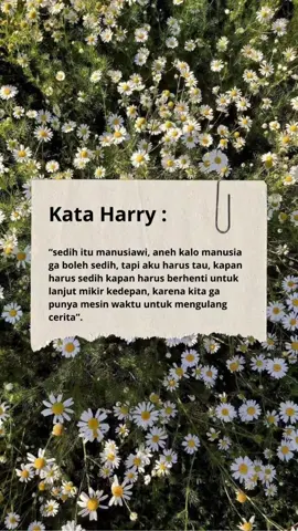 #harry #asmaragenz #pinterest 