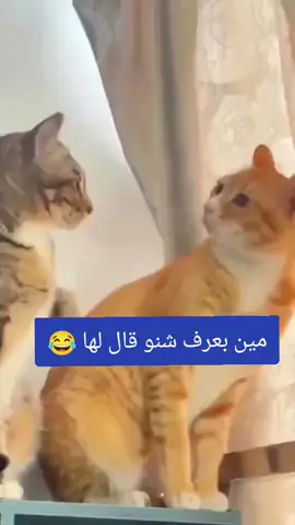 مين يعرف شنو قال لها 😂😂