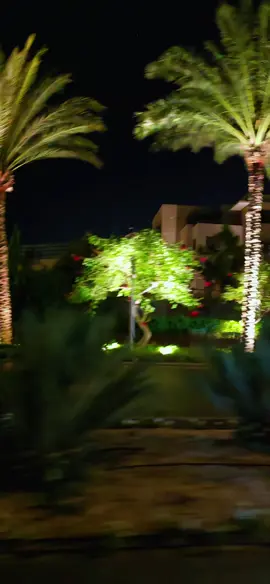 𝑴𝒐𝒕𝒐𝒓 𝑷𝒍𝒖𝒔 مش هتنساني 🎶 👑 🎶حماقي 