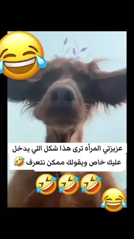 #شعب_الصيني_ماله_حل😂😂 