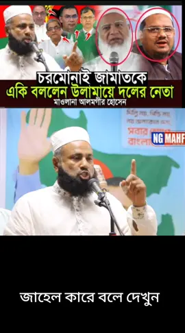 আলোচনা :চরমোনাই জামাতকে একি বললেন উলামায়ে দলের নেতা মাওলানা আলমগীর হোসেন Chormonai Bnp #Sayem420 #sayem420 