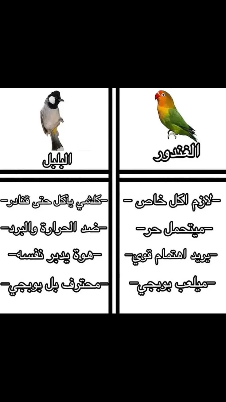 #شتبوستر_عظيم #شيتبوست #ميمر #شتبوستر #fyppppppppppppppppppppppp 