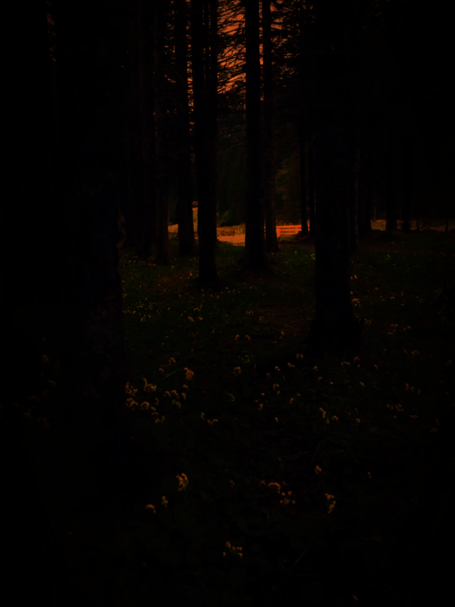 #introvert #darknight 