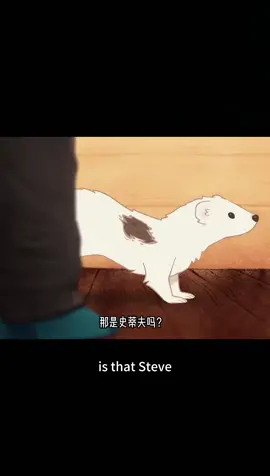 William Snekspeareのアニメ作品 #フェレット  #かわいい動物 