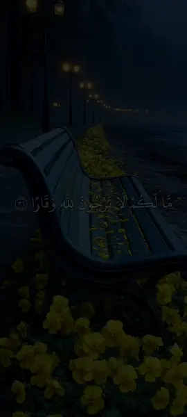 #تلاوه_خاشعه_وراحه_نفسيه #سعد_الغامدي_القرآن_الكريم #quran#quran_alkarim 