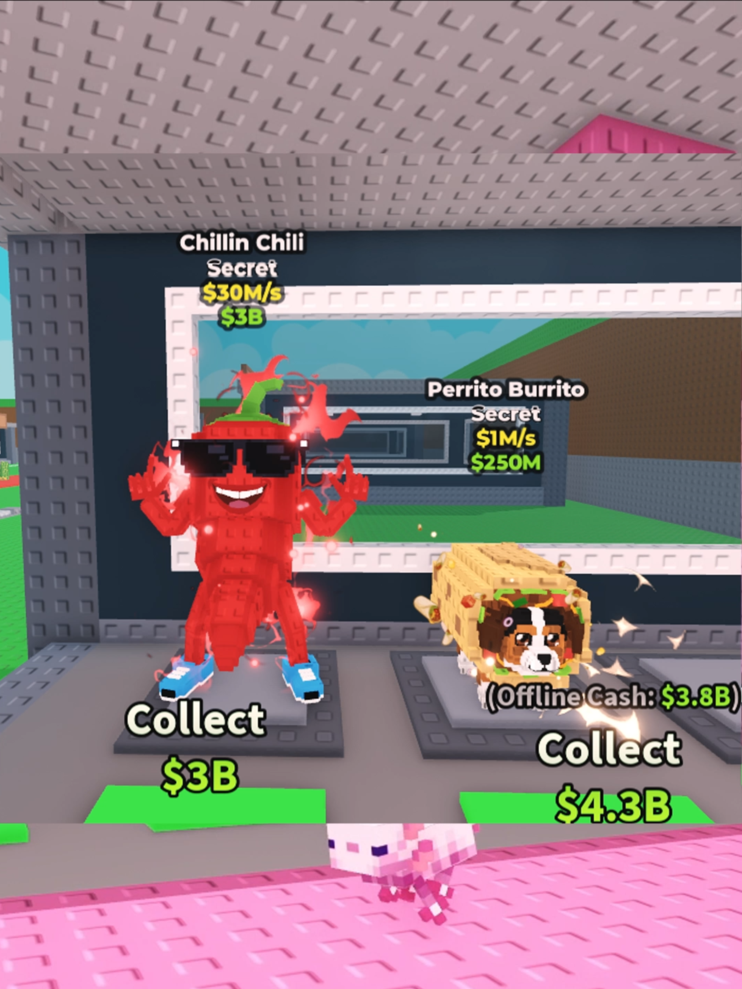 CHILIIN CHILI🌶️#robloxfyp #robaunbrairont #martesdetacos #AJOuwu