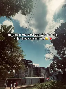 মানুষ মইরা গেলে ভালোবাসা উথলাইয়া পরে, বাইচা থাকতে খবর লয় না..!😅❤️‍🩹