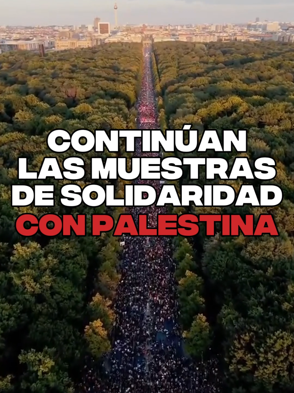 El mundo sigue demostrando su apoyo al pueblo palestino. 🇵🇸 Esta vez fue Berlín, con más de 150.000 personas. #palestinalibre #gaza #trending #flotilla #derechoshumanos 