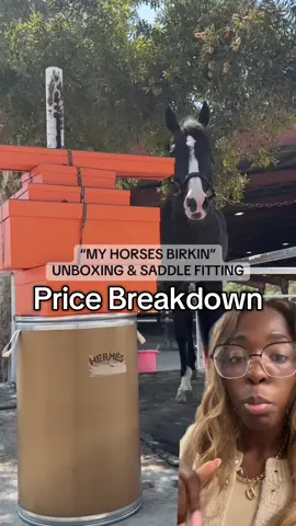 Dang there’s even animals with a better life than me 😩😩🥴😭 #pricebreakdown #equestrians #richpeople #wealthy #hermes 