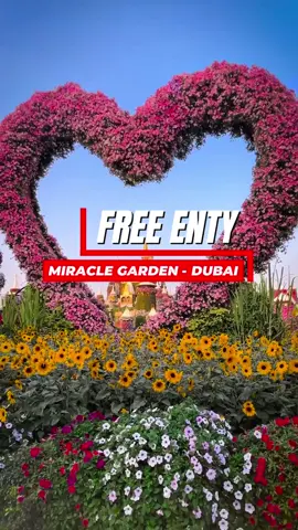 Free entry to miracle ga den Dubai in your birthday : Dubai Miracle Garden has added a special treat for its visitors this season — if it’s your birthday, your entry is free. “All you need to do is show your Emirates ID or passport at the ticket counter to confirm your birthday, and your ticket will be on us,” Mohammed Zaher Hammadih, CEO of Dubai Miracle Garden told Gulf News during the event. #freebies #birthdayfreebies #miraclegarden 