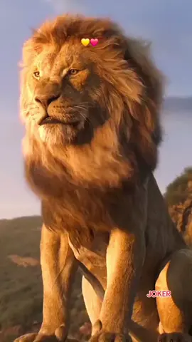 #CapCut 