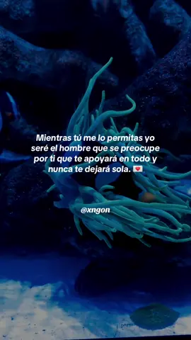 Siempre contaras conmigo incondicionalmente. #Parejas #frasesdeamor #novios #frasesñaradedicar #frasesbonitas 