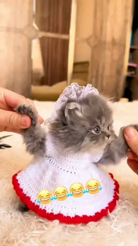 حبت تشارك في الترند #🤣 #لشعب_الصيني_ماله_حل😂😂 
