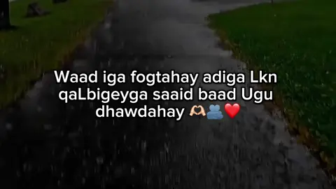 .❤️#writer_ahmett #eligible #fyp 