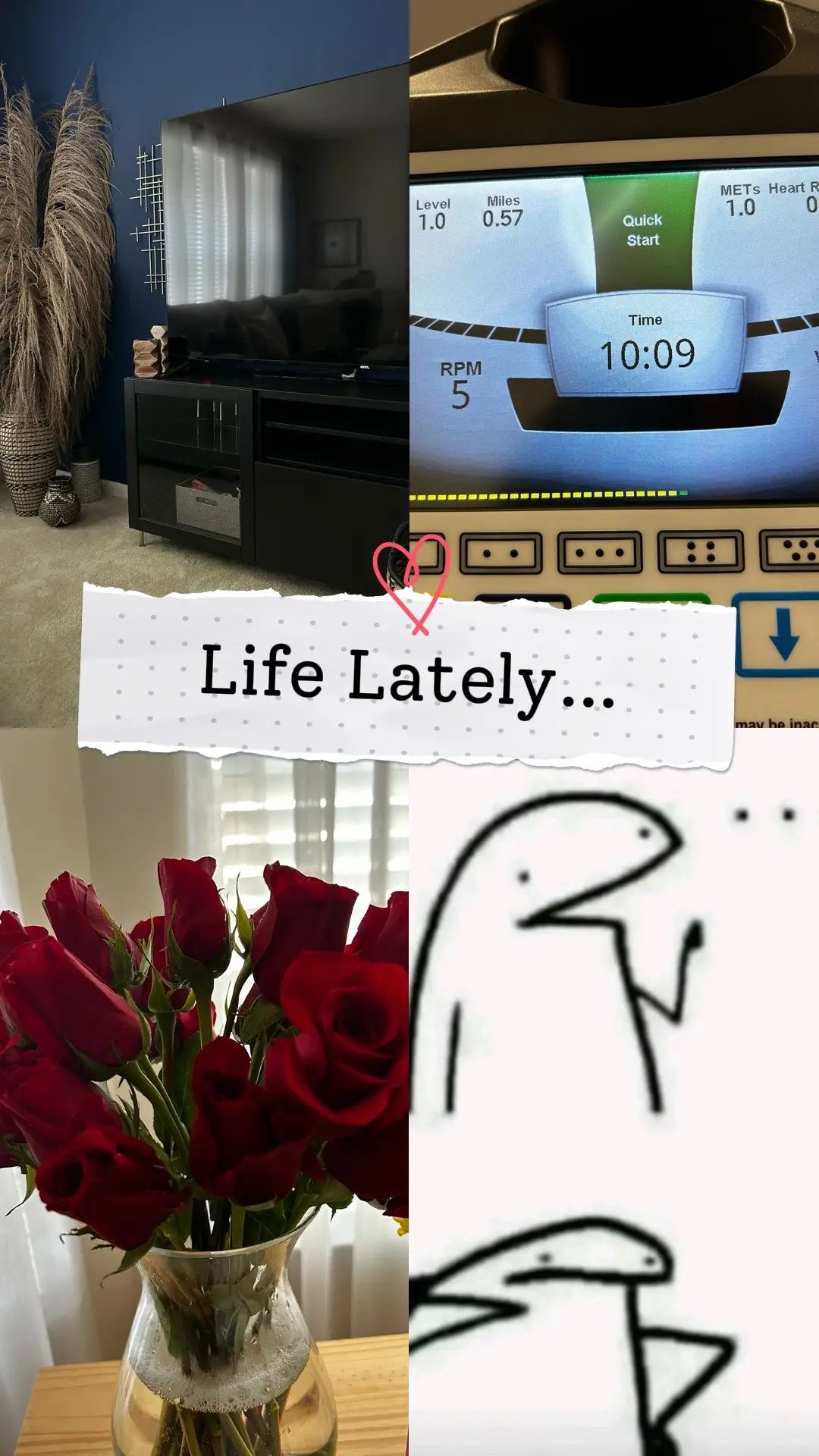 • I got new pampas grass in the living room  • I surpassed my 9 minutes on the hand bike! (My next goal is 11 mins…I almost died getting to 10! 😂😮‍💨) • I received some pretty roses (y’all can probably recite word for word what I’m about to say 🤣)  🗣️If she loves flowers, get her flowers!  • I was challenged to speak in a British accent for an entire day by my speech therapist…needless to say, I didn’t speak much that day 😂. Not that I felt silly (even though I sounded hilarious), I just lost my ability to do all the accents I used to love to do. I can’t even roll my R’s anymore 😣 #LanguageLearning #roses #handbike #pampasgrass 