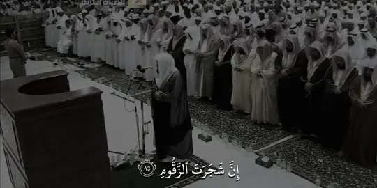 إنّ شجرت الزقوم 😔 #ماهرالمعيقلي #قرآن #quran #saadolla_hagag #ماهر_المعيقلي 