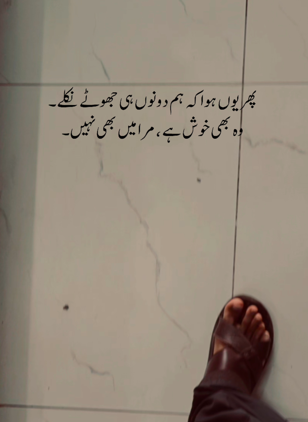 پھر یوں ہوا کہ ہم دونوں ہی جھوٹے نکلے۔ وہ بھی خوش ہے ، مر میں بھی نہیں۔ #just_zarii05 #foryoupage #foryoupage #plzunfrezemyaccount #plzdontunderviewsmyvedios 