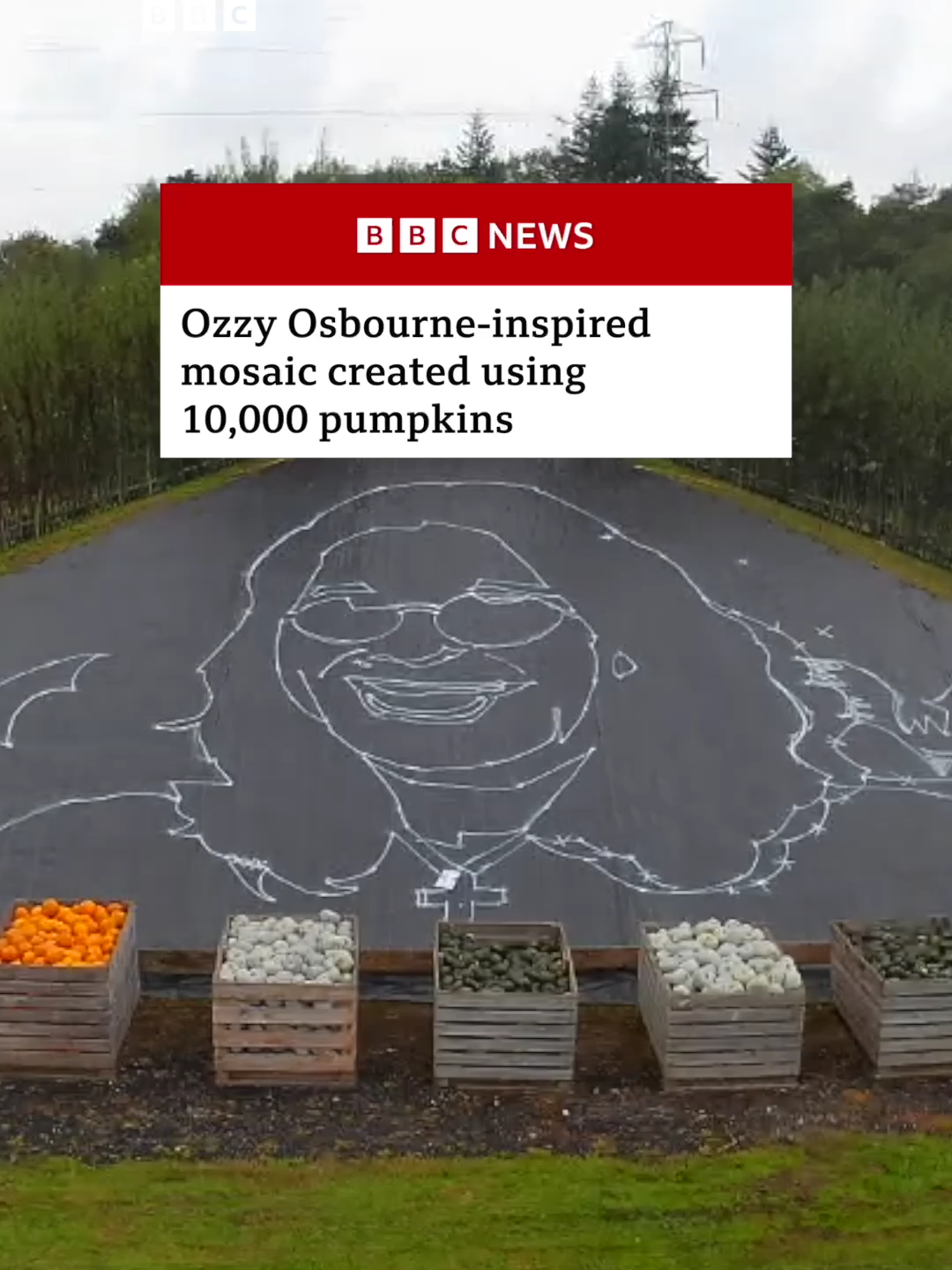 The 'prince of pumpkins' artwork took 16 people four-and-a-half hours to create. #OzzyOsbourne #Pumpkins #Totton #Hampshire #PrinceOfDarkness #Mosaic #UK #BBCNews