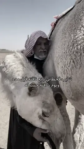 #عطايا_الله🐪 #بدو #fyp #capcut #dpppppppppppppppppppppppppppppppp 