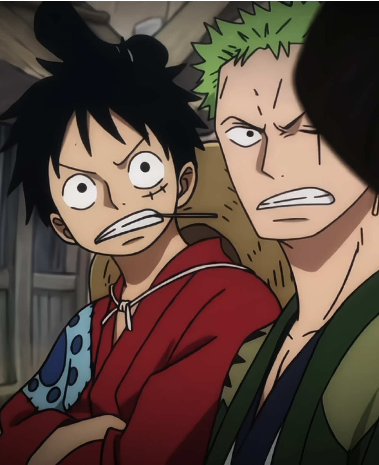 #onepiece #luffy #zoro #explore #fyp 