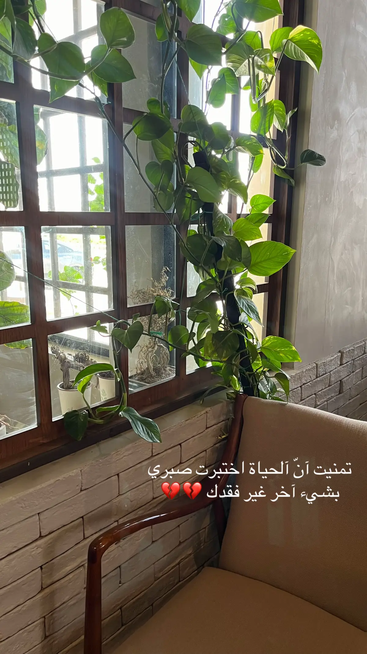 #اكسبلور 