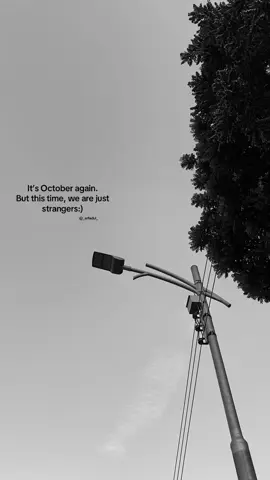 Strangers with a lot of memories:)#erfan_editz 