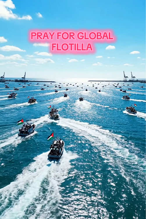 Free Palestine 🇵🇸 Global Flotila Sumud today update All eyes on gaza ✊🇵🇸 Palestine Gaza Global Flotila Sumud #sumudflotila #sumudflotilaupdate #globalsumudflotilatoday #freepalestine #alleyesongaza