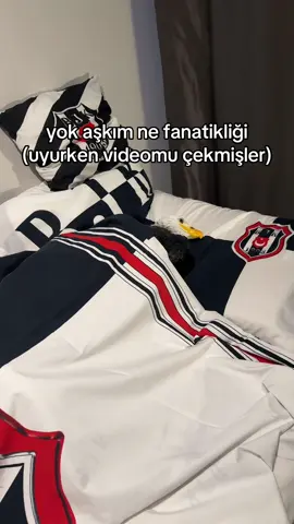 sadece maçtan maça  #kesfet #kesfetteyiz #fyp #besiktas #beşiktaş 