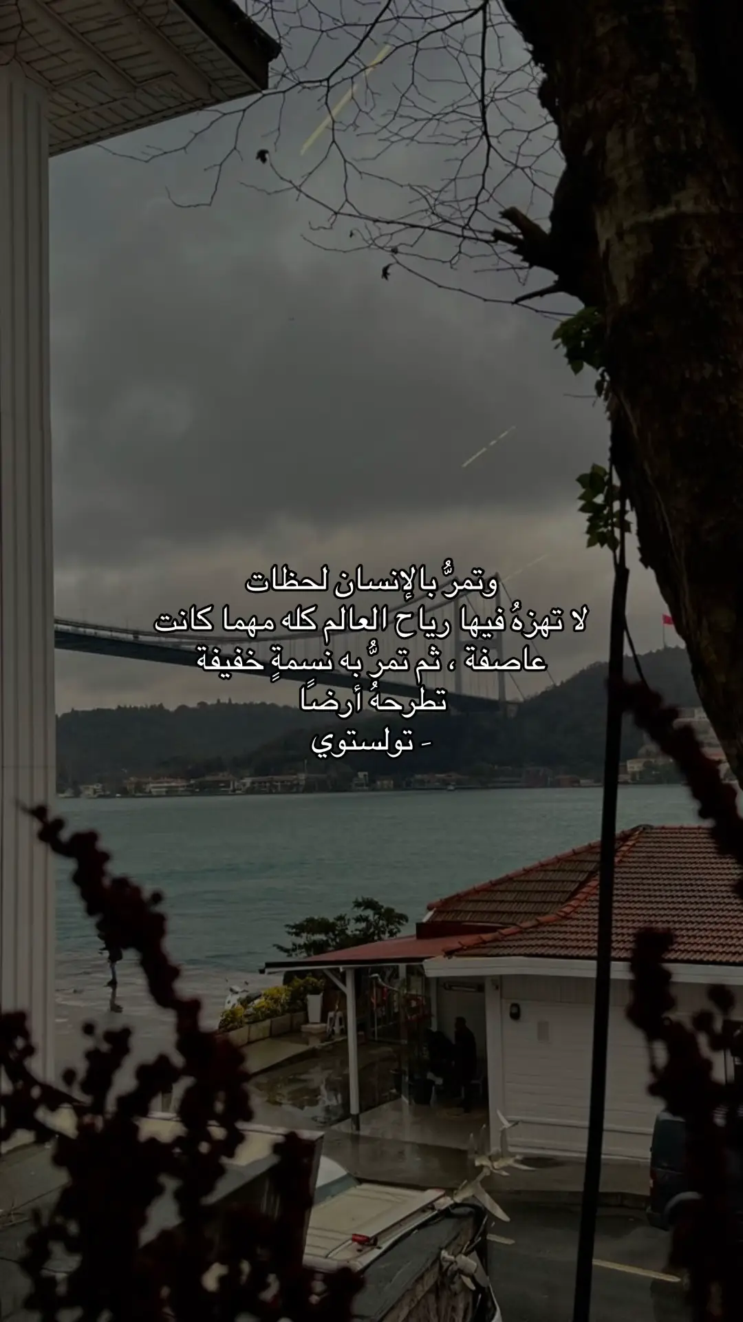 #اقتباسات #اثرAthar 