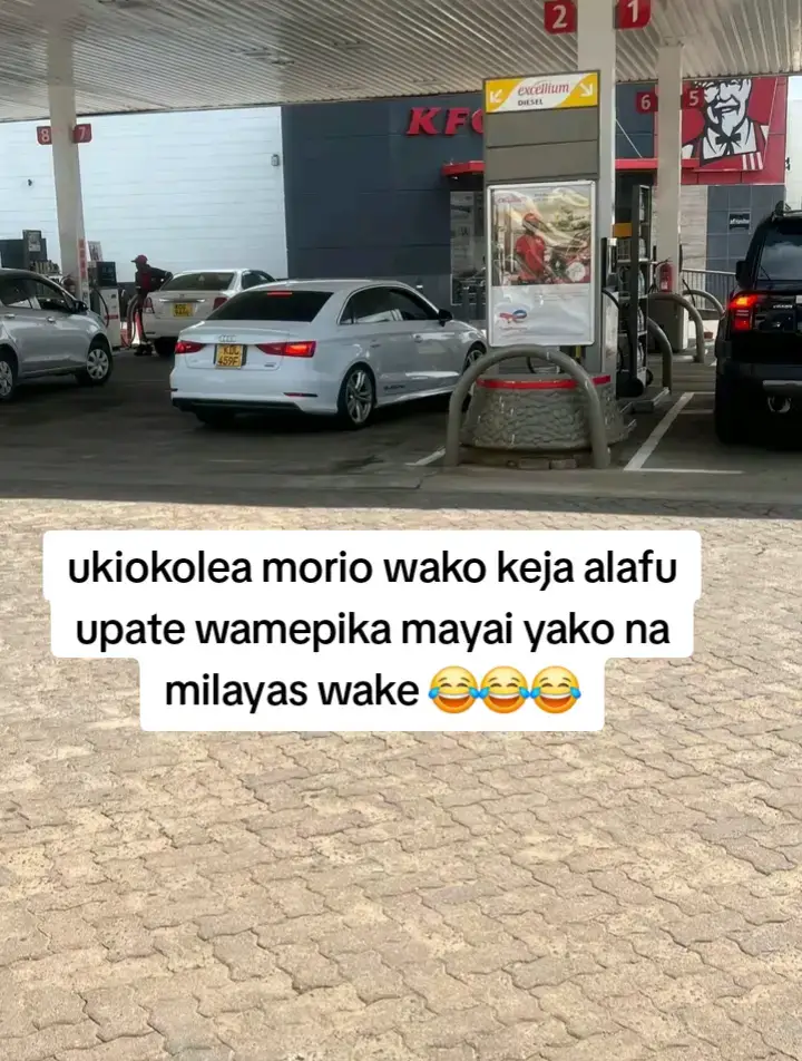even if man is to error 😂😂😂 #fyp #fyppppppppppppppppppppppp #viral #views #memestiktok 
