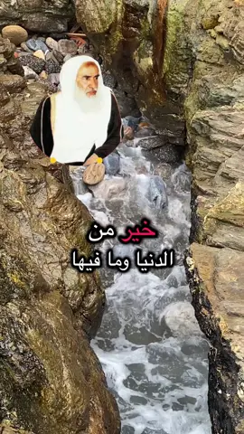 سنة الفجر خير من الدنيا وما فيها#fy #quran #tik_tok #صدقه_جاريه #الفوزان_الالباني_ابن_باز_ابن_عثيمين 