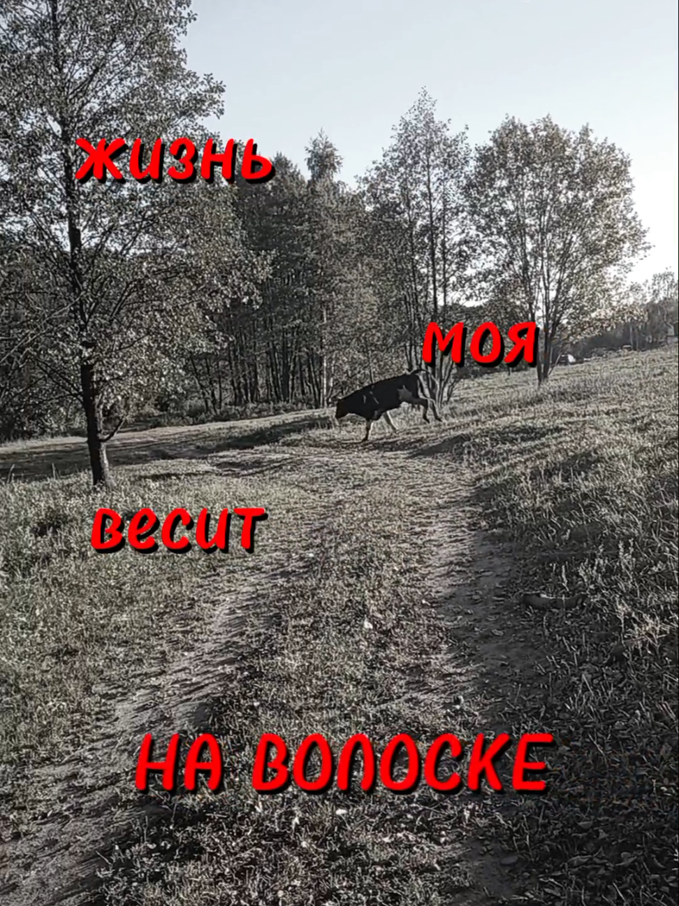 бригаду? #хочуактив #хочуактив #хочуактив #гонюмоймуж #гонюмоймуж 