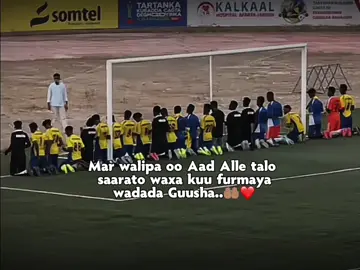 xaalad walba hadad ku jirtid alle talo saaro 🤲🏽❤️😭..Repost  Follow Me 💔  #fypp #viewsproblem💔😔 #foryoupage 