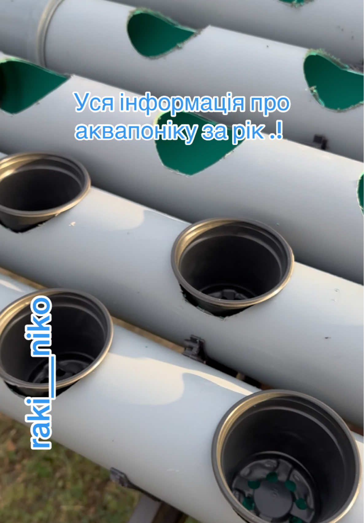 #калуга #стерлядь #узв #аккр #фільтрація 