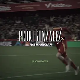 Pedri Potter🪄 | #pedri #barcelona #edit #luisenrique #viral