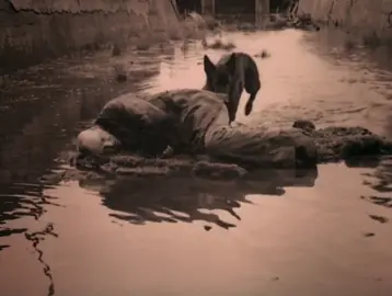Nostalghia 1983 - Andrei Tarkovsky #andreitarkovsky #art #schizoposting #lonely #nostalghia 