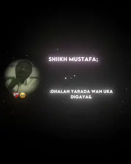 #Shiikh Mustafa #catcap♨️♨️  @ᖇOTI🎭 
