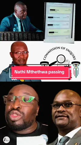 Nathi Mthethwa, General Dumisani Khumalo and Madlanga Commission of Inquiry #sama #zulu #zulutiktok #saps #hawks 