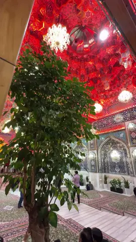 اللهُم صلِ على مُحمد والـِ مُحمد🤎. ـ ـ ـ #اللهم_صلي_على_نبينا_محمد  #اللهم_عجل_لولیک_الفرج  َ َ . . . #foryoupage #viral #fyp 