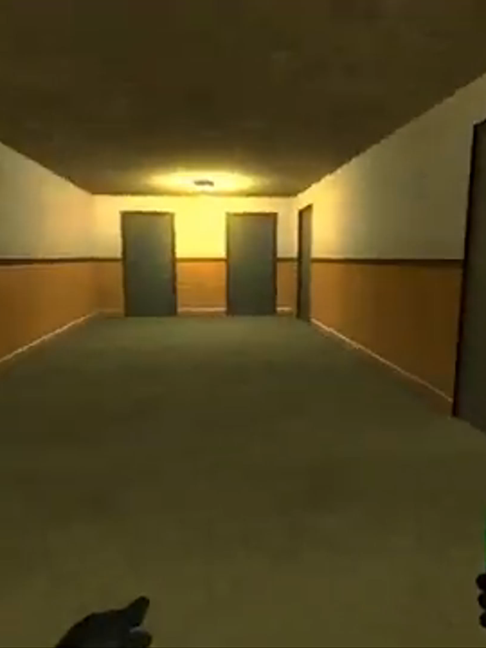 You'll never catch me ;D #Venturiantale #gmod #garymod #oldcontent