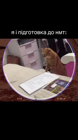 #нмт 