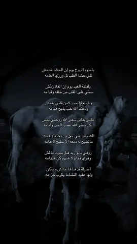 #explore #محمد_ابن_الذيب #viral 