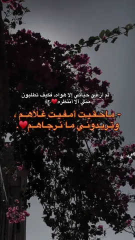 @♥️#البيضاء_الجبل_الاخضر_ليبيا🇱🇾🔥 #fact #pov #المرج_بنغازي_البيضاء_طرابلس_ليبيا #سعد_المسماري💚🇱🇾 
