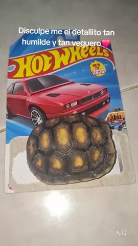#veguerito🇻🇪🤠 #paratiiiiiiiiiiiiiiiiiiiiiiiiiiiiiii #hotwheels #llanerosporelmundo 