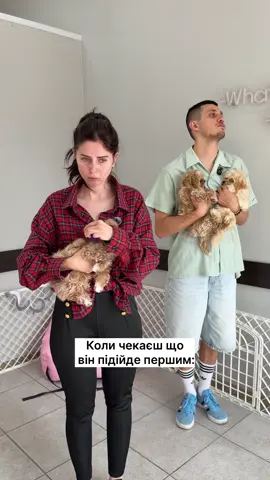 Inst:ponchinche_house1 Вільні цуцики для примирення у нас в інст 🤣