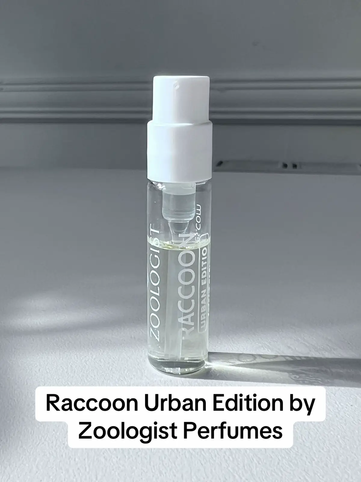Raccoon Urban Edition is instant street chaos: bubble gum, greasy pizza crust, and banana peel all in one sniff, like rummaging through city garbage – but somehow, it dries down weirdly clean, with incense and patchouli. Way easier to wear than it sounds. Trash Panda as Victor calls it!  Thanks to @Zoologist Perfumes for the sample! #perfumes #fragrances #raccoontok #zoologist #trash 