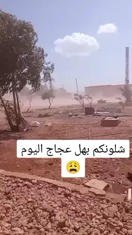 #سنجار #ملامح_بدوي #شمدريني_بس_هيج💔 