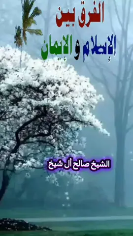 الفرق بين الاسلام والإيمان الشيخ صالح أل شيخ #السلفية_الفهم_الصحيح_للكتاب_والسنة  #salafiyyah  #الإسلام  #tik_tok  #المغرب🇲🇦تونس🇹🇳الجزائر🇩🇿 