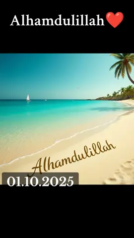 #alhamdulillah #flypシ #viralvideos #pourtoi 