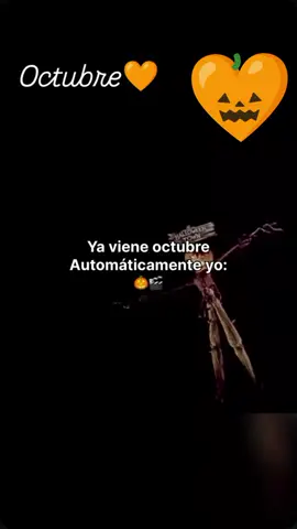 a un día de Octubre ya comienza las noche de películas de terror y Halloween 🎃  #horrormovie #halloween #octubre #halloween2025 #night 